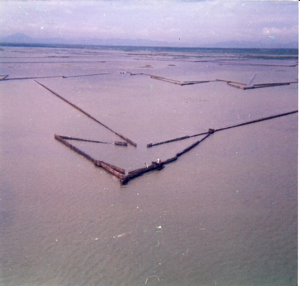 Fish Trap Army Example Vietnam Helicopter insignia and artifacts - F Troop, 4th Cavalry Regiment
